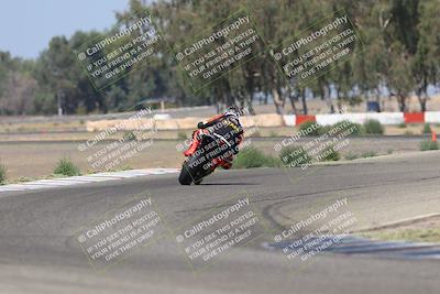 media/Sep-07-2025-Pacific Track Time (Sun) [[a6322260b9]]/A and B Group/Wheelie Bump A and B/